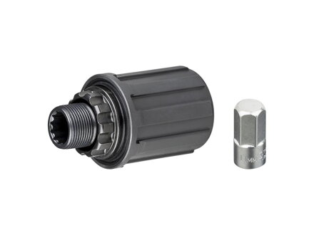 Bontrager Kugellager-Freilaufkörper für SSR/Superstock/Select V2