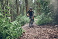 SHIMANO Turnschuhe SHXC502 grün