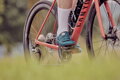 SHIMANO Turnschuhe SHRC502 Damen blau