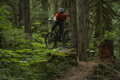 SHIMANO Turnschuhe SHAM903 schwarz