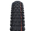 SCHWALBE Reifen ALBERT TRAIL PRO (63-622) 29x2,50 Evolution 67EPI Radial 1180g Schwarz TLR Ultra Soft
