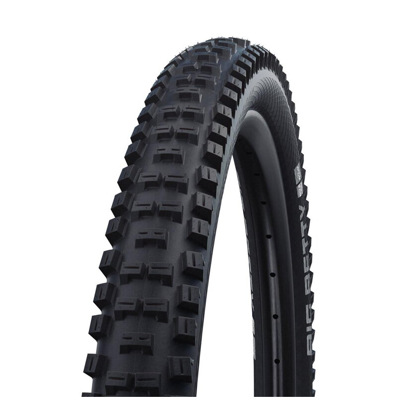 SCHWALBE Reifen BIG BETTY Performance 26x2,40